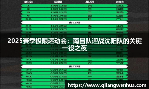 2025赛季极限运动会：南昌队迎战沈阳队的关键一役之夜