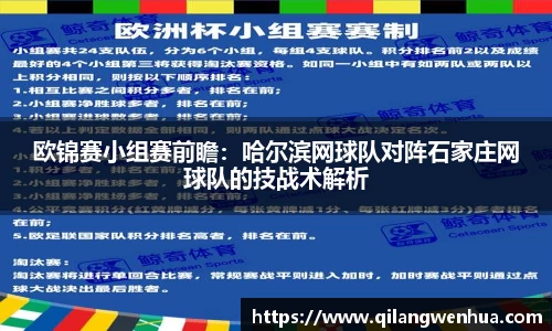 欧锦赛小组赛前瞻：哈尔滨网球队对阵石家庄网球队的技战术解析